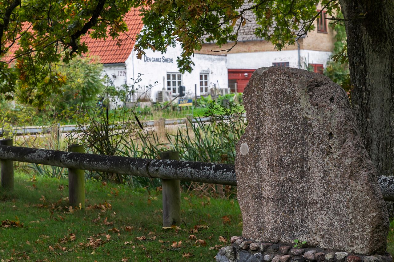 image 04