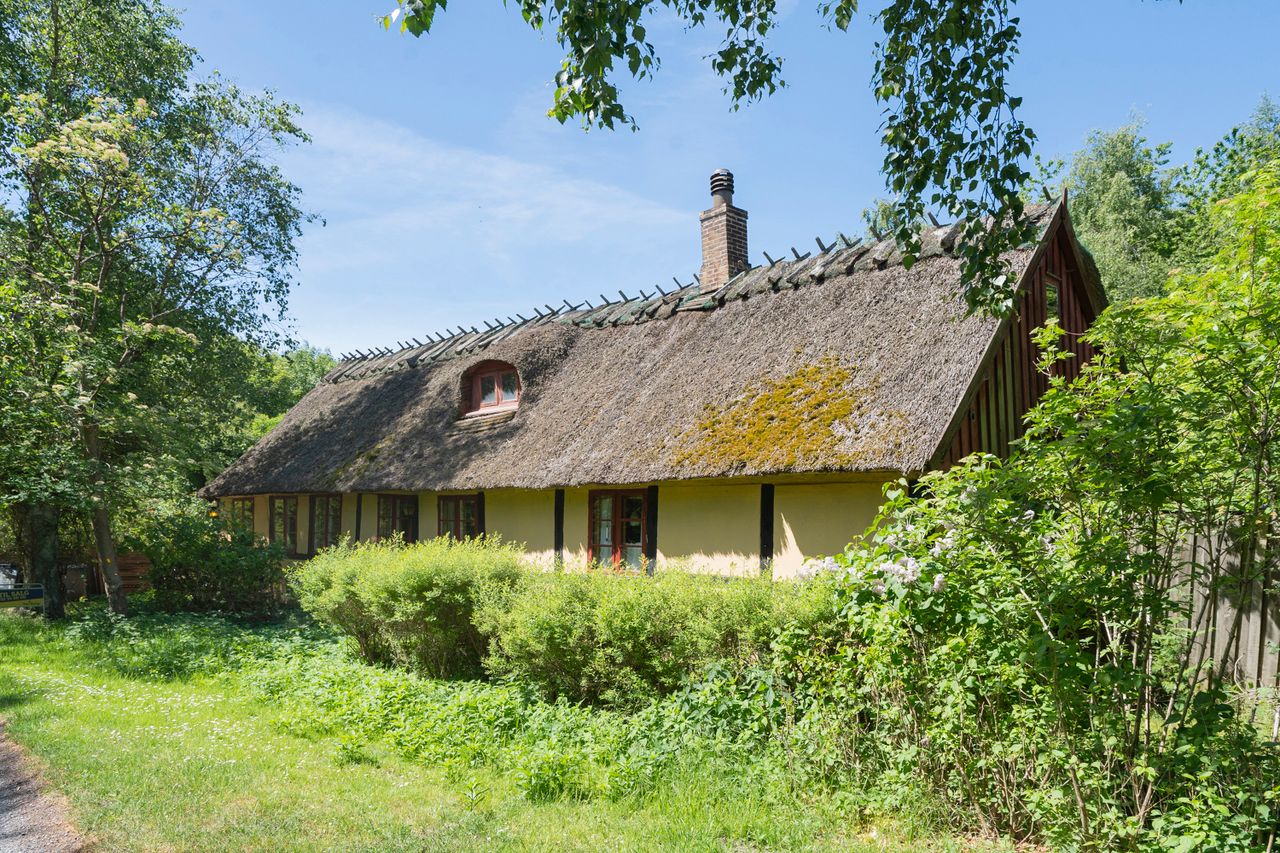 image 02